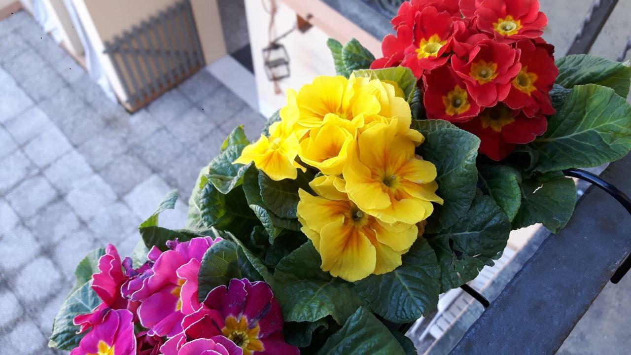 At Home In Cremona Exterior foto
